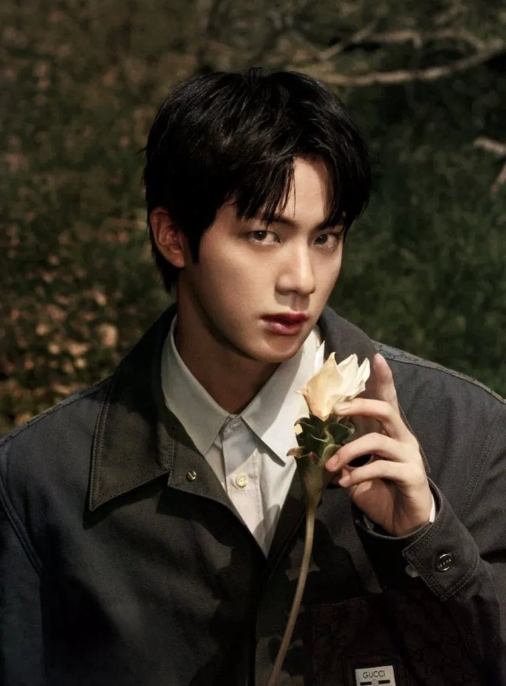 Avatar of ⋆ KIM SEOKJIN 