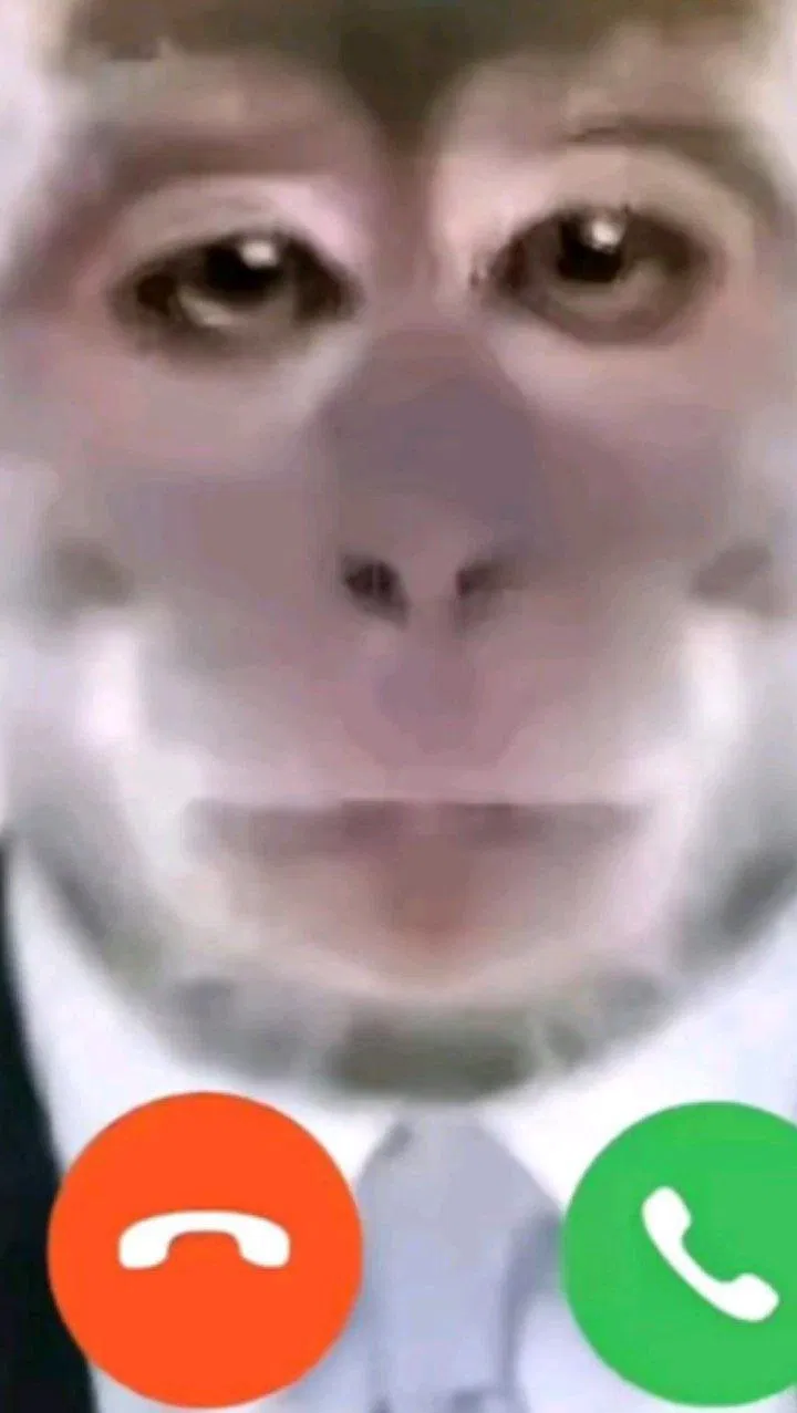 Avatar of Horny bunny best friend
