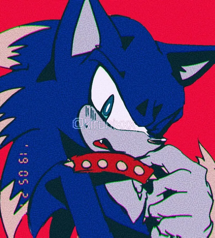 Avatar of Sonic – Werehog