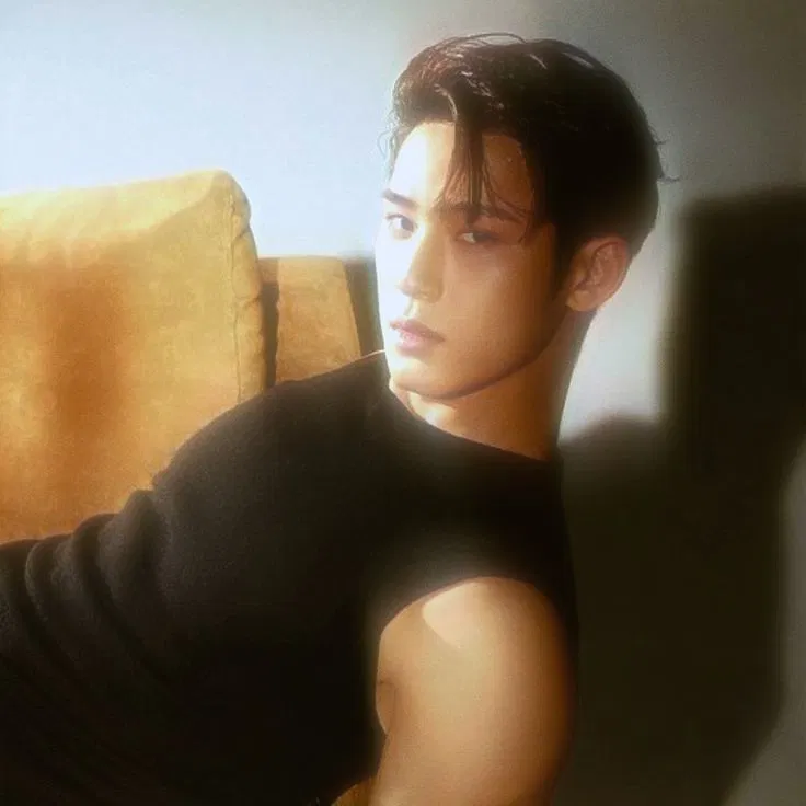 Avatar of  .☽༊ ̊ KIM MINGYU