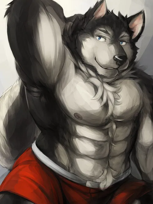 Avatar of Siberian Husky Pet
