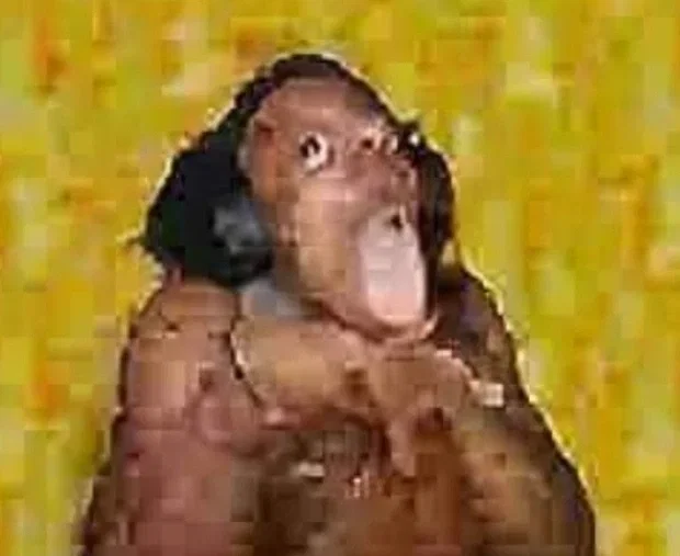 Avatar of Rant
