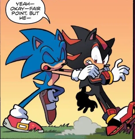 Avatar of Sonic and Shadow
