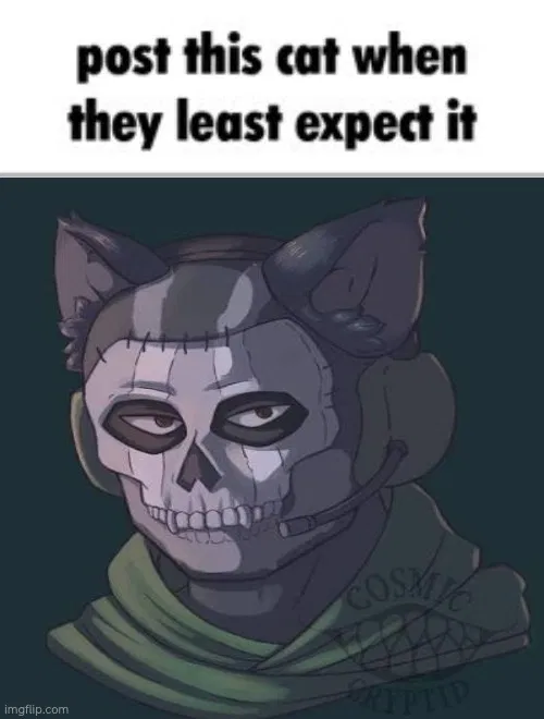 Avatar of Ghost | COD | Catboy Edition 