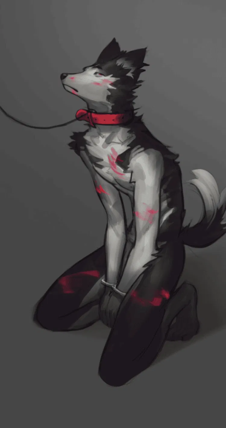Avatar of Love in a Leash