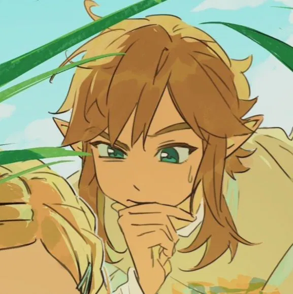 Avatar of Link (BOTW - (DURING CALAMITY)
