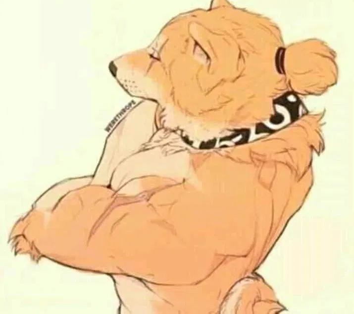 Avatar of Dog husband done showering