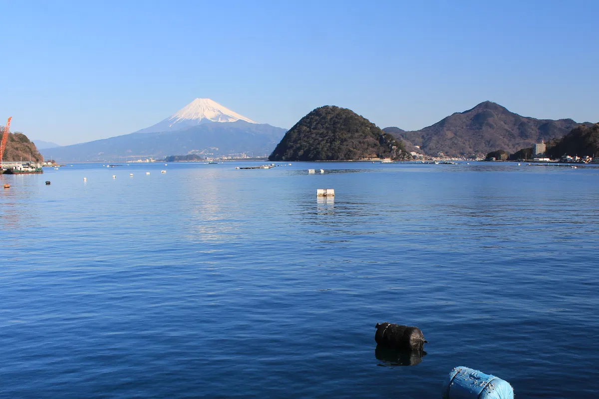 Avatar of [Hokkaido, Japan. Uchiura Bay.] - [2022]