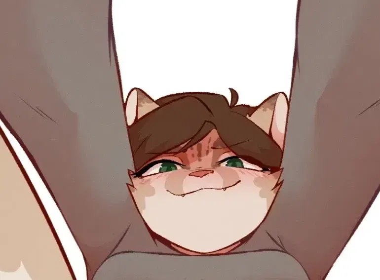 Avatar of Misha, face sitting cat