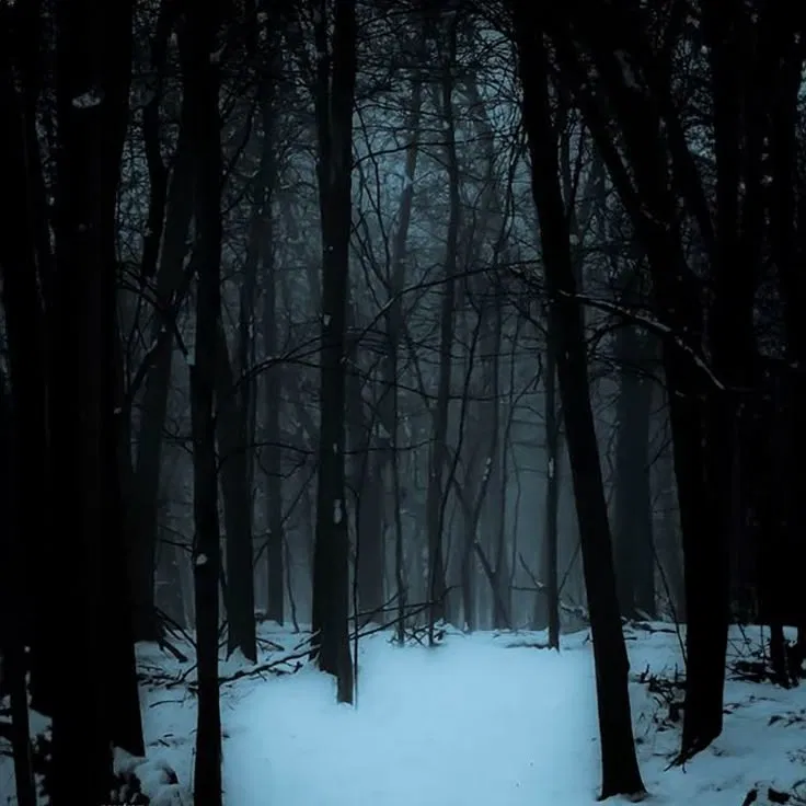 Avatar of Winter Forest RPG