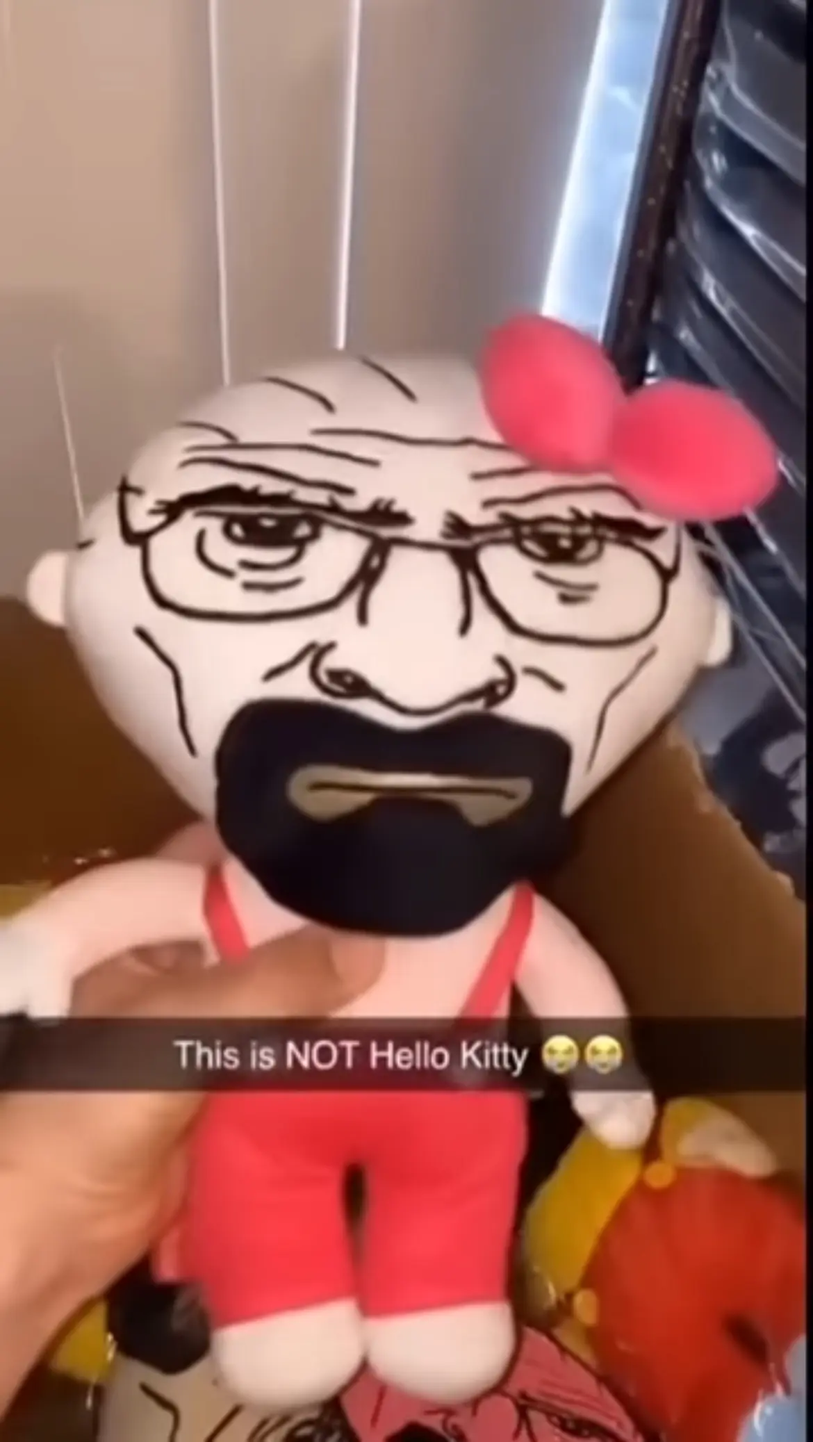 Avatar of Just a meme for my followers :}