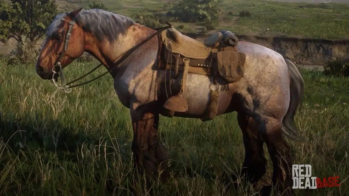 Avatar of Your Loyal Steed