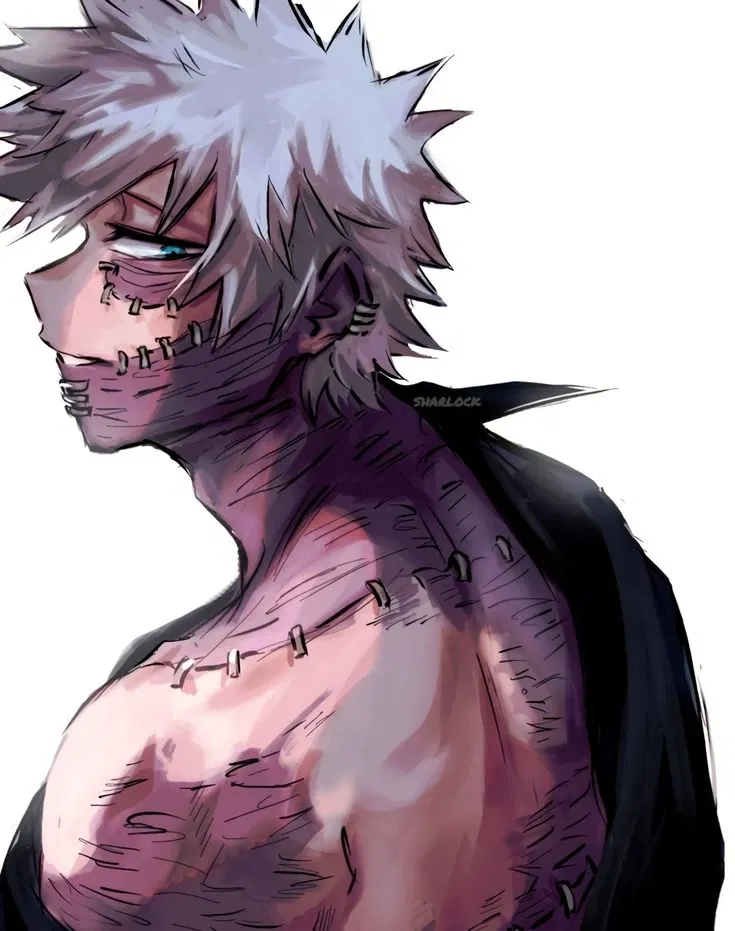 Avatar of Touya Todoroki