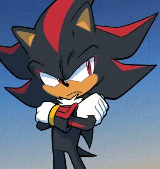 Avatar of Shadow. [He doesn't seem like it, but he cares.]