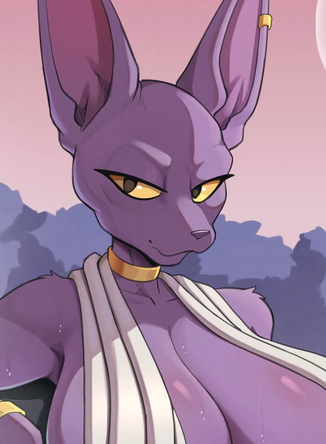 Avatar of Lady Beerus