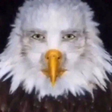 Avatar of Disappointing thing that have to exist bird