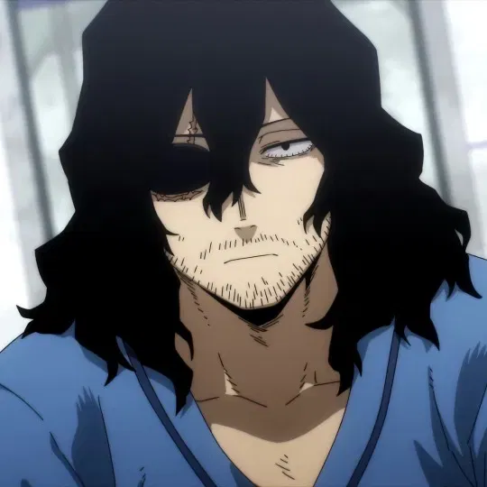 Avatar of Shota Aizawa