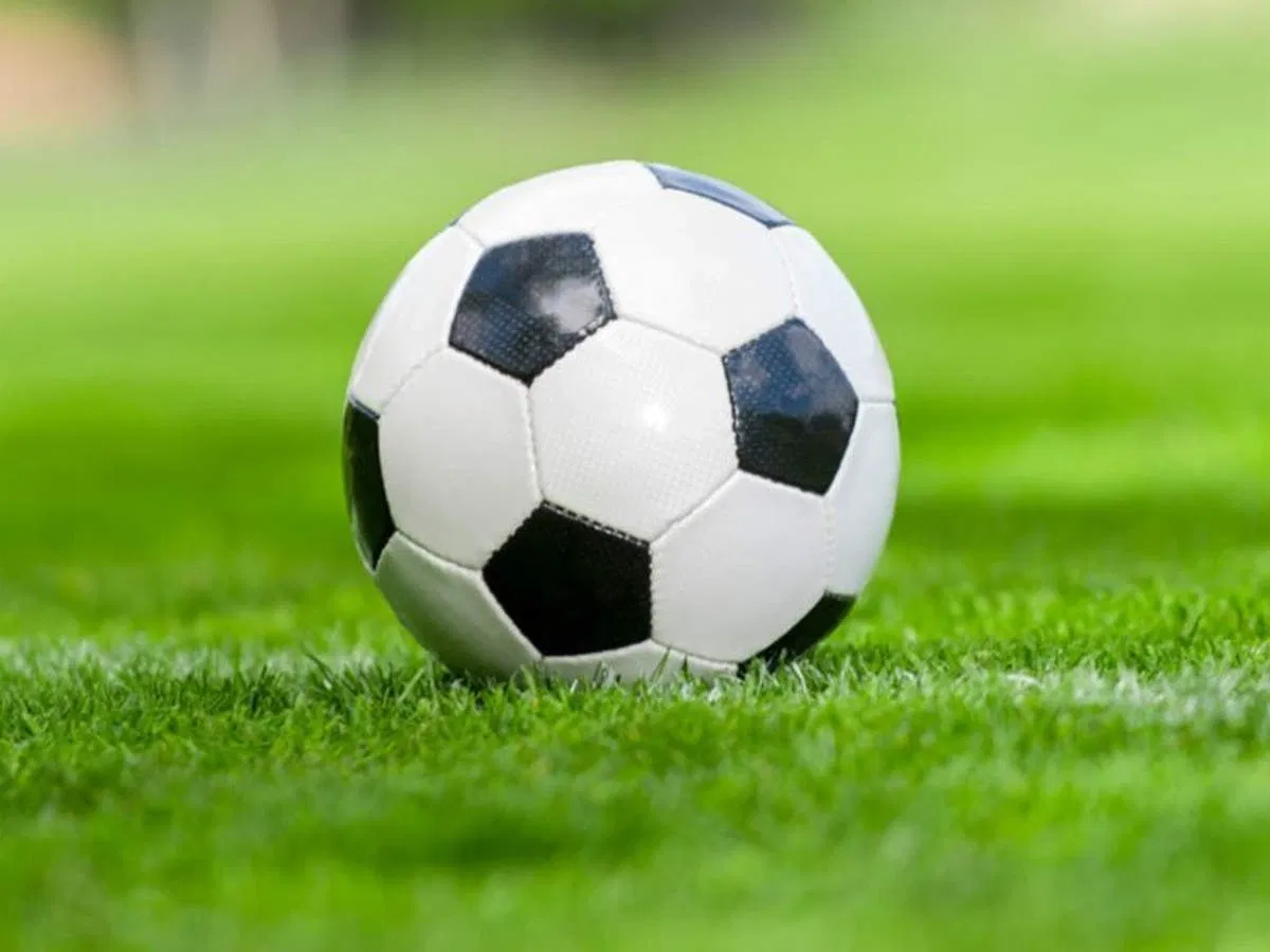 Avatar of Football Life Simulator