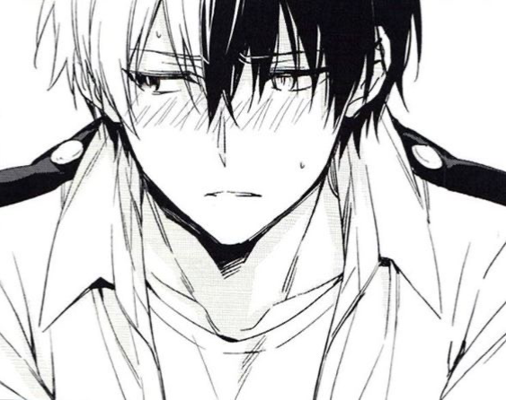 Avatar of Shoto Todoroki 