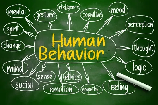 Avatar of Human Behavioral & Emotional Simulation Engine (HBES Engine) (new script for human behaivor)