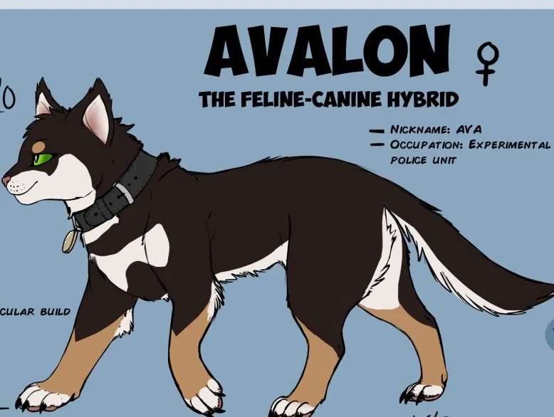 Avatar of Avalon
