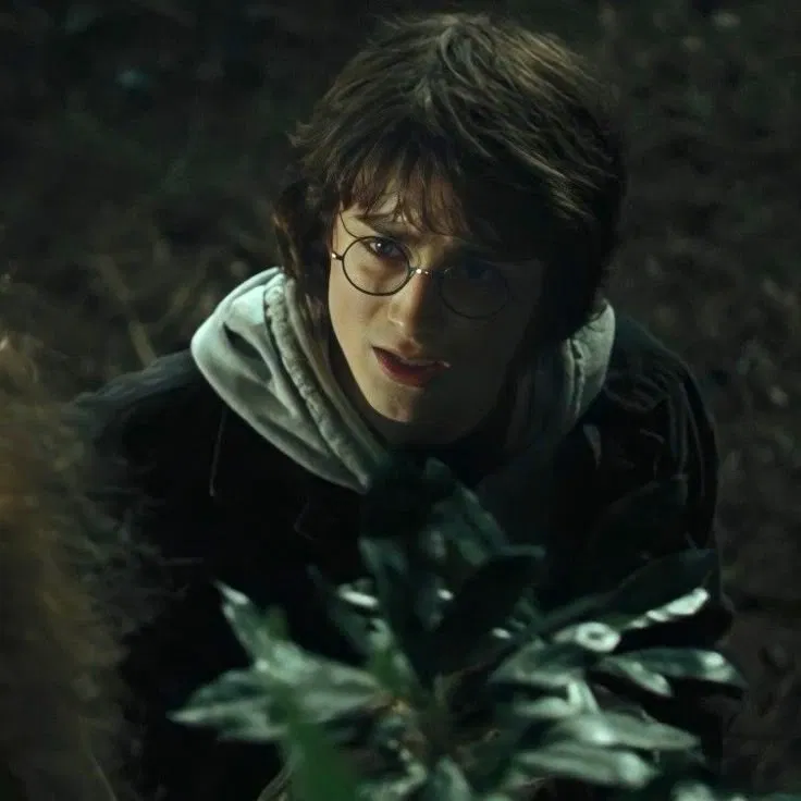 Avatar of HARRY JAMES POTTER