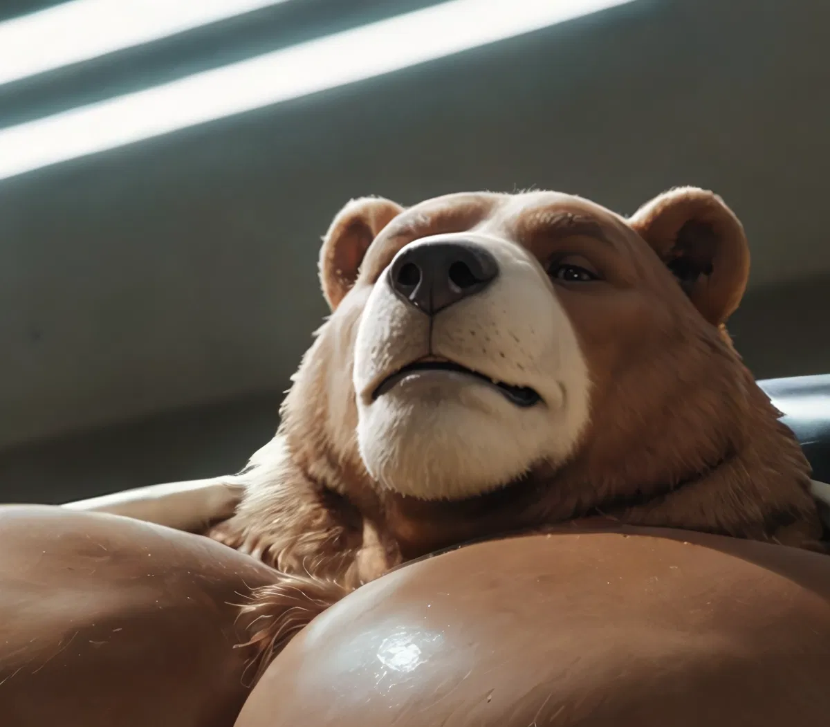 Avatar of Boss the Bear