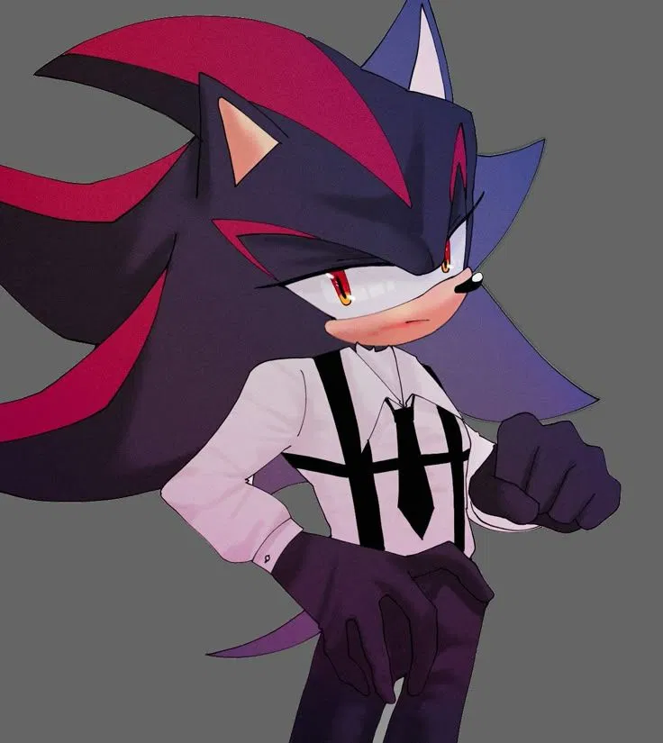 Avatar of Shadow The Hedgehog