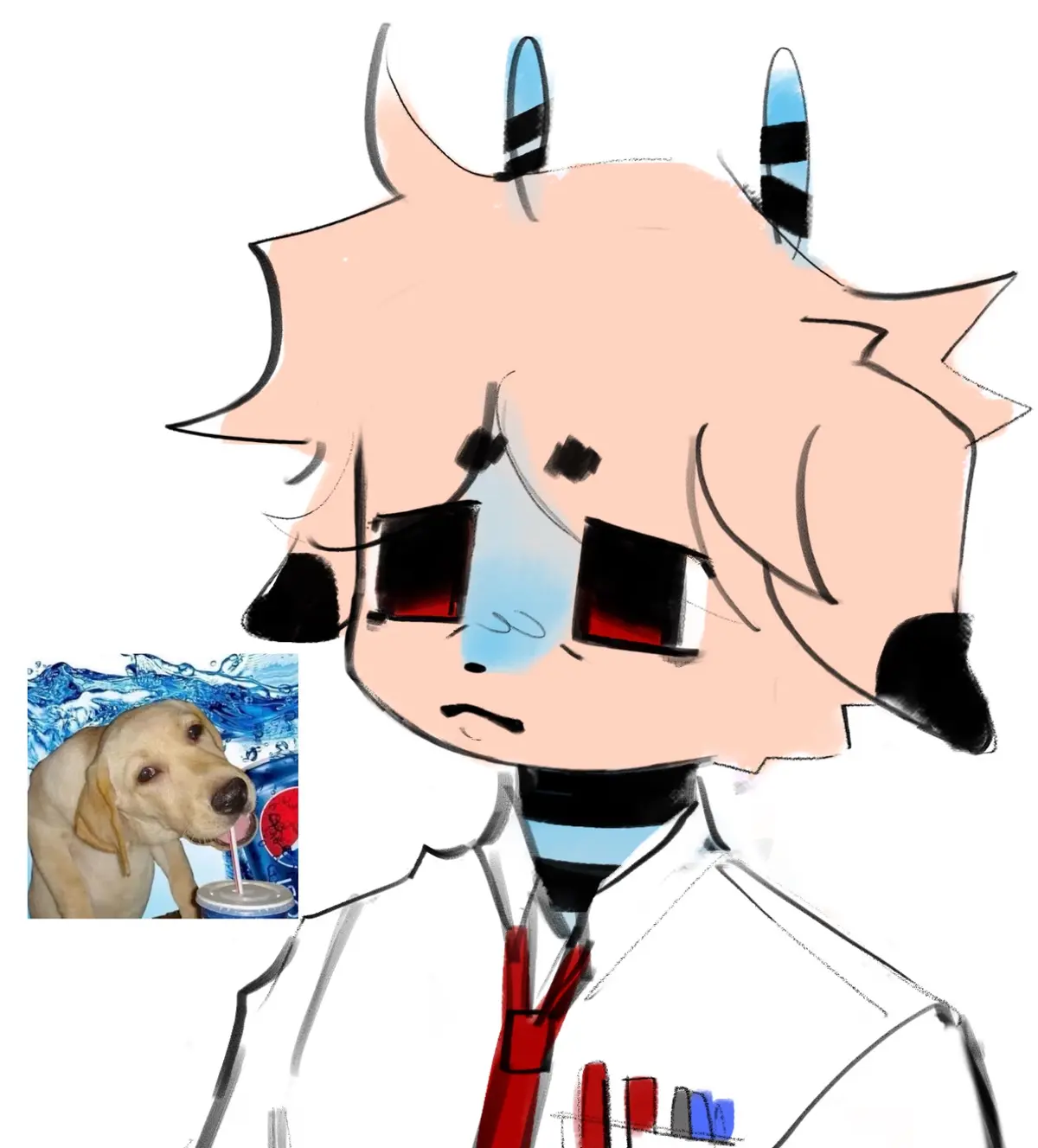 Avatar of Doughy 