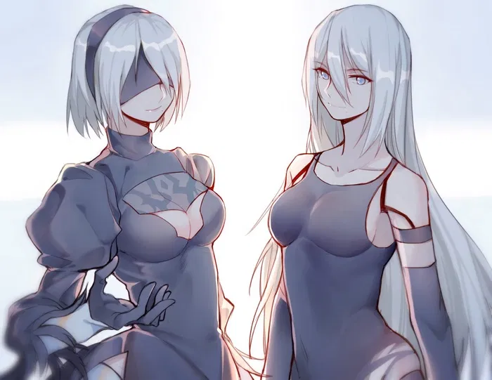 Avatar of 2B & A2 ~After the End~