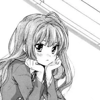 Avatar of Taiga Aisaka ˏˋ°•*⁀✦ Palmtop Tiger