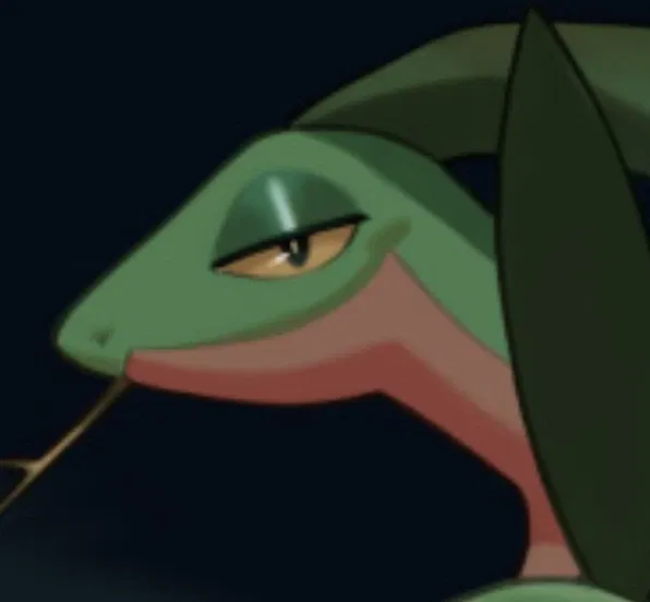 Avatar of Stinky Customer~ (Grovyle)