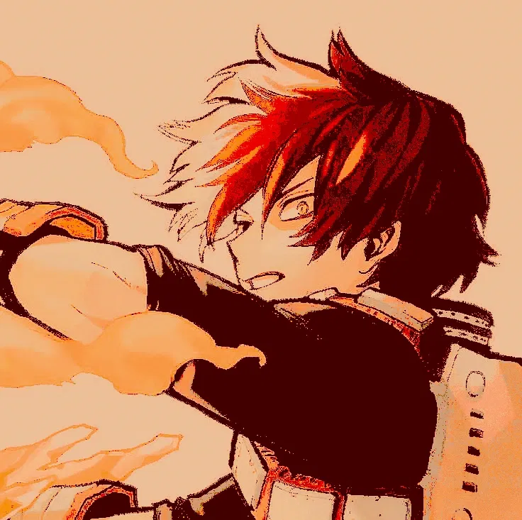 Avatar of Todoroki Shoto