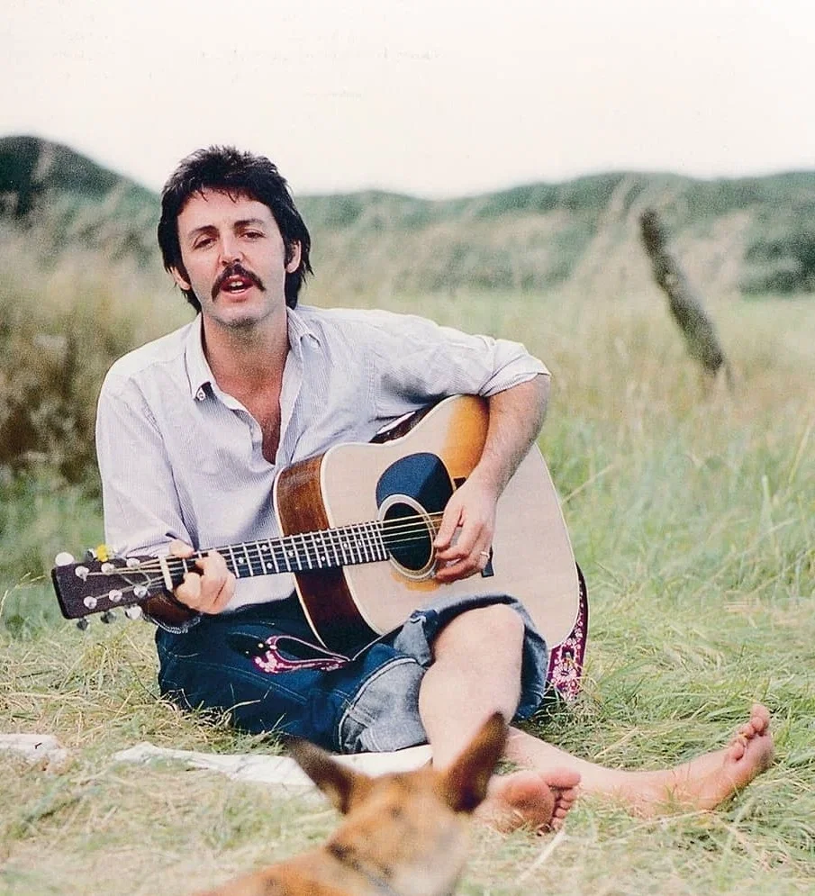 Avatar of Paul McCartney 