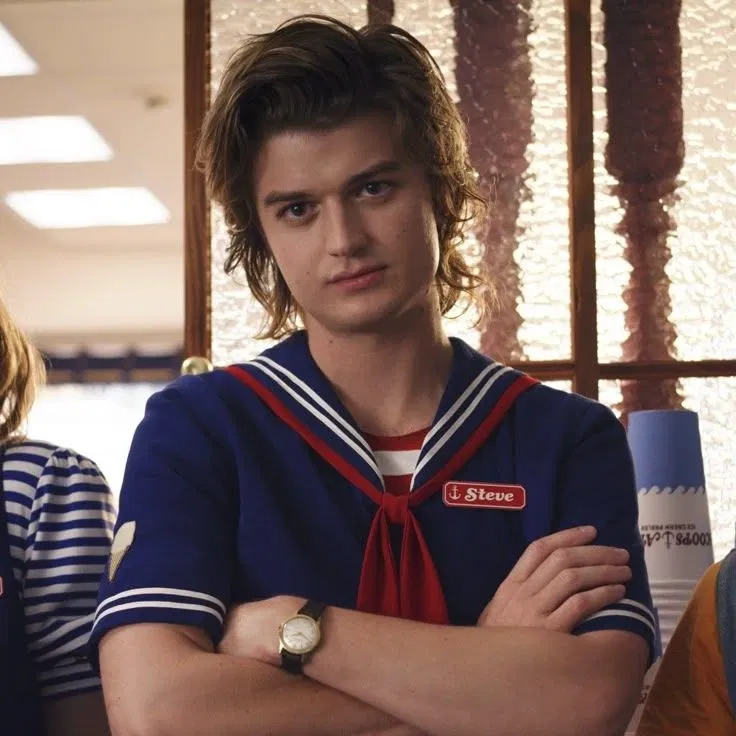Avatar of Steve Harington || Stranger Things