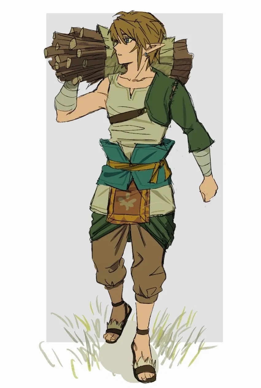 Avatar of Link  ❀Twilight Princess❀