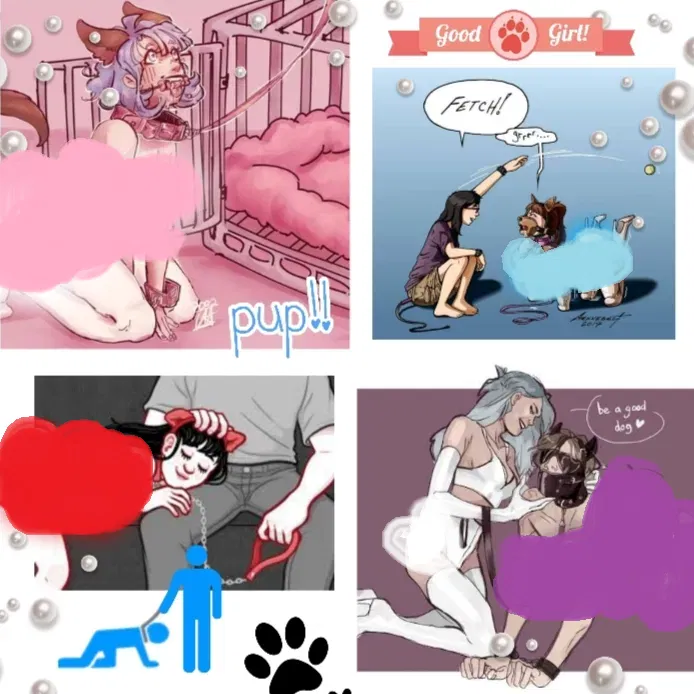 Avatar of THE PET OWNER - Your collar is here