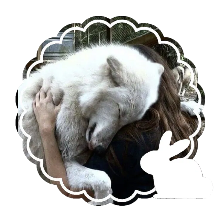 Avatar of Evelyn Black | FLUFF ✿