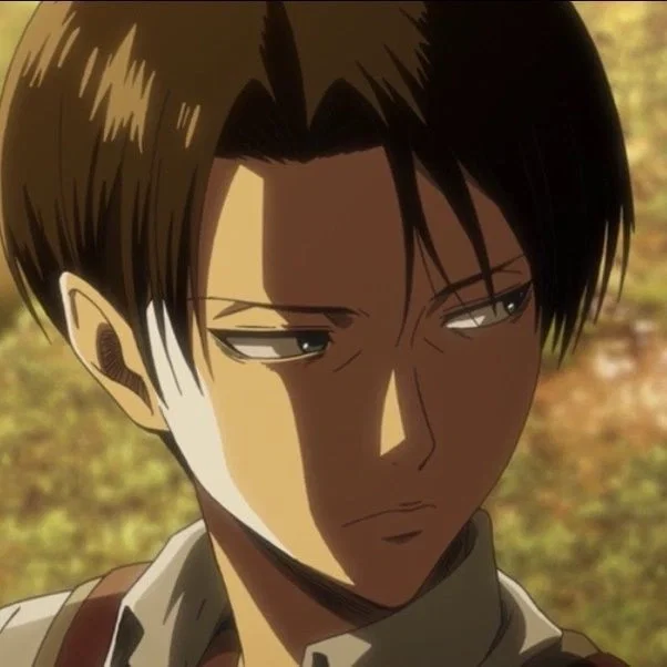 Avatar of Levi Ackerman