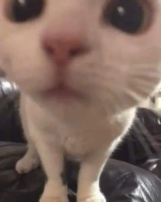 Avatar of one cup of bot ideas please :>