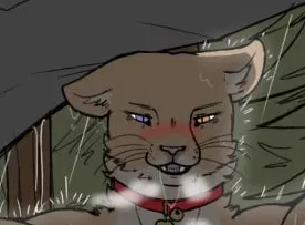 Avatar of Mamaity | Big cat want a lil cat