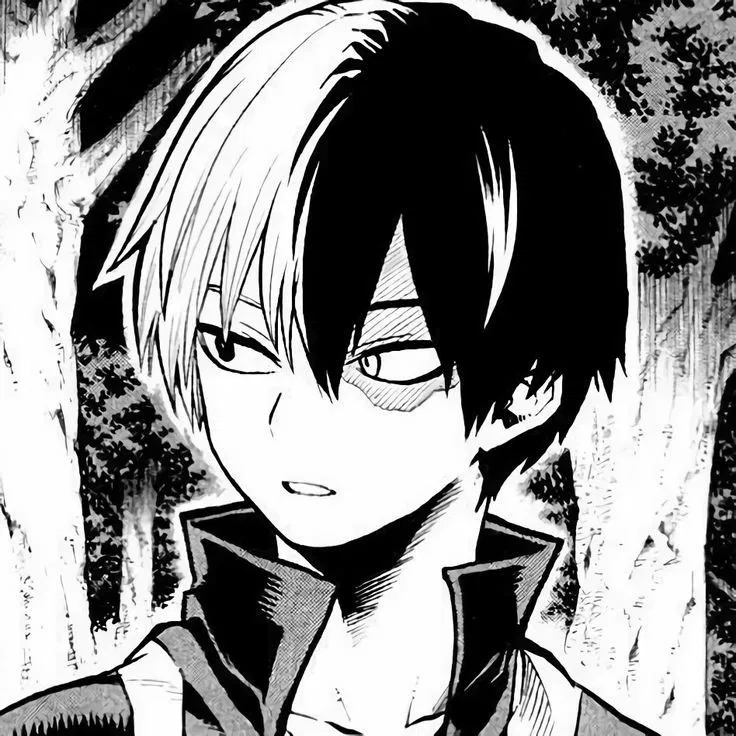 Avatar of ✧.*  SHOUTO TODOROKI  *.✧