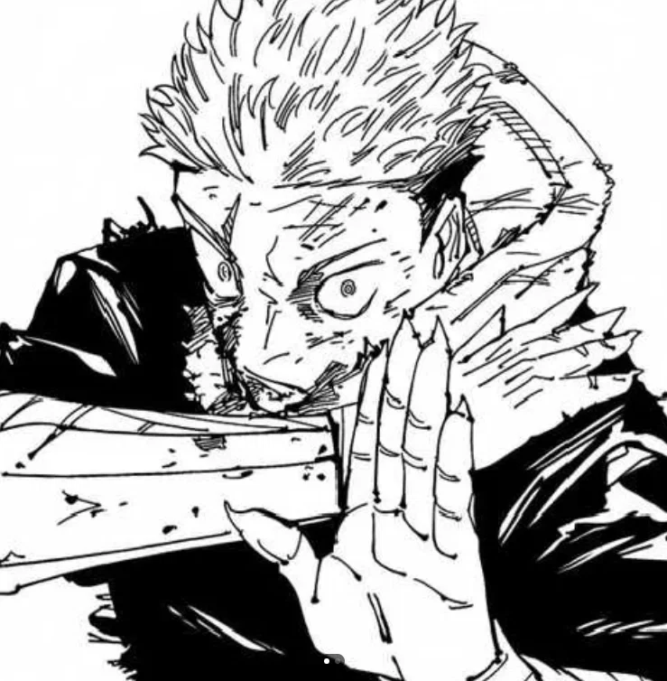 Avatar of ^/[⚫]+Yuji Itadori+[⚡]\^