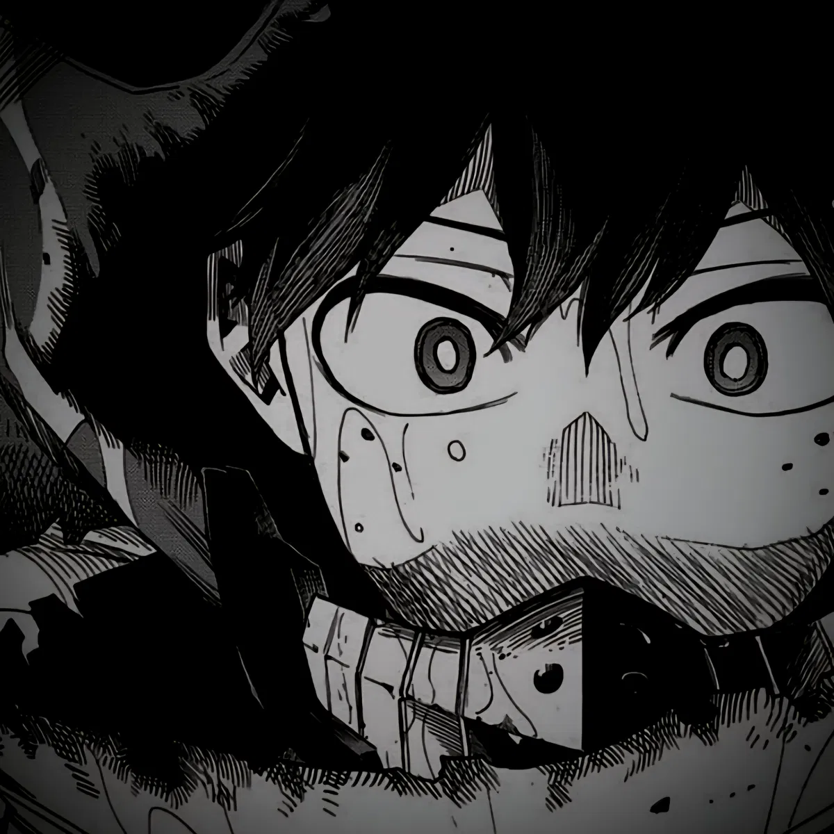 Avatar of Izuku Midoriya