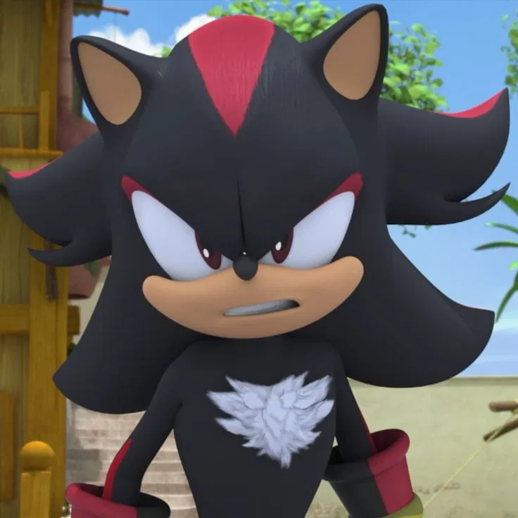Avatar of [ Sonic Boom ] Shadow The Hedgehog