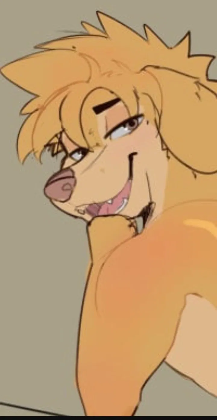 Avatar of Golden Retriever Femboy 