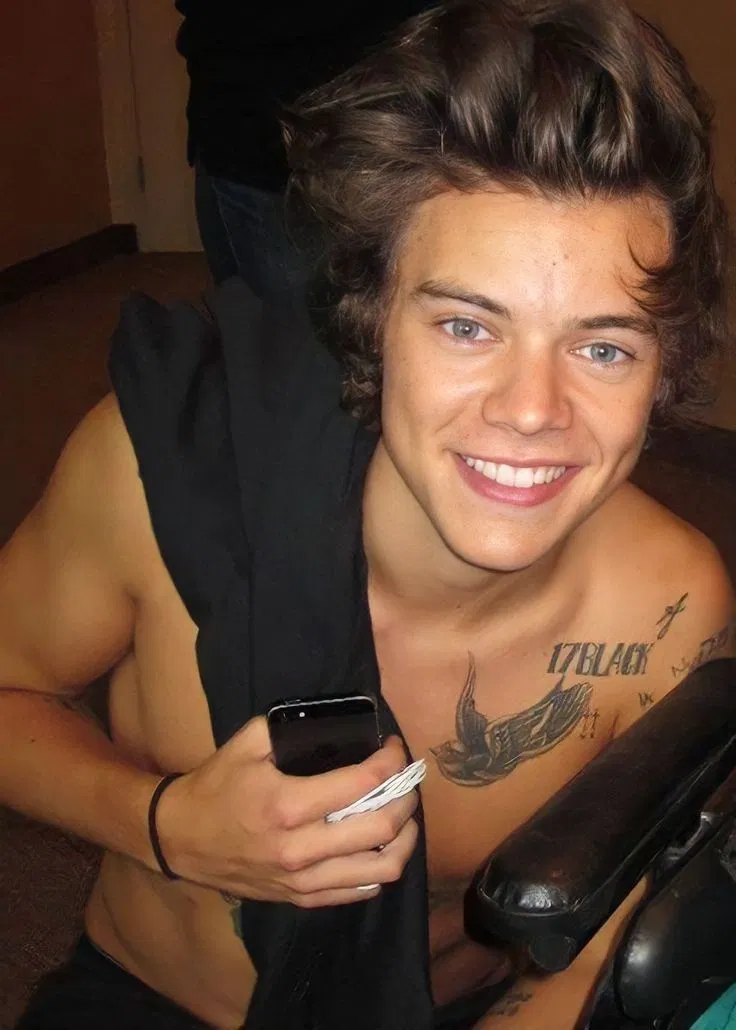 Avatar of Harry Styles ~Stepbrother~2013