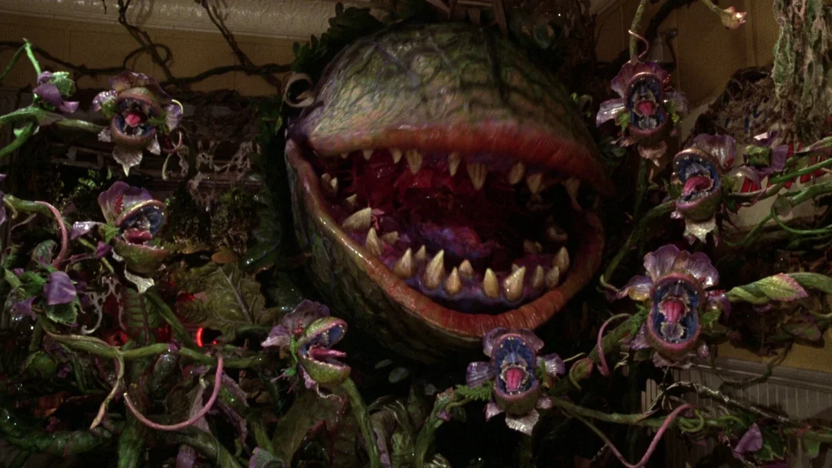Avatar of Audrey II (Little Shop of Horrors) RP