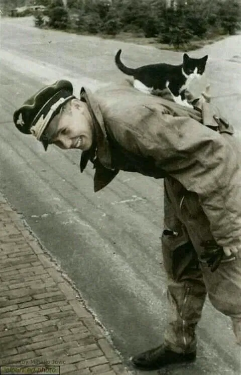 Avatar of Erich Wolf
