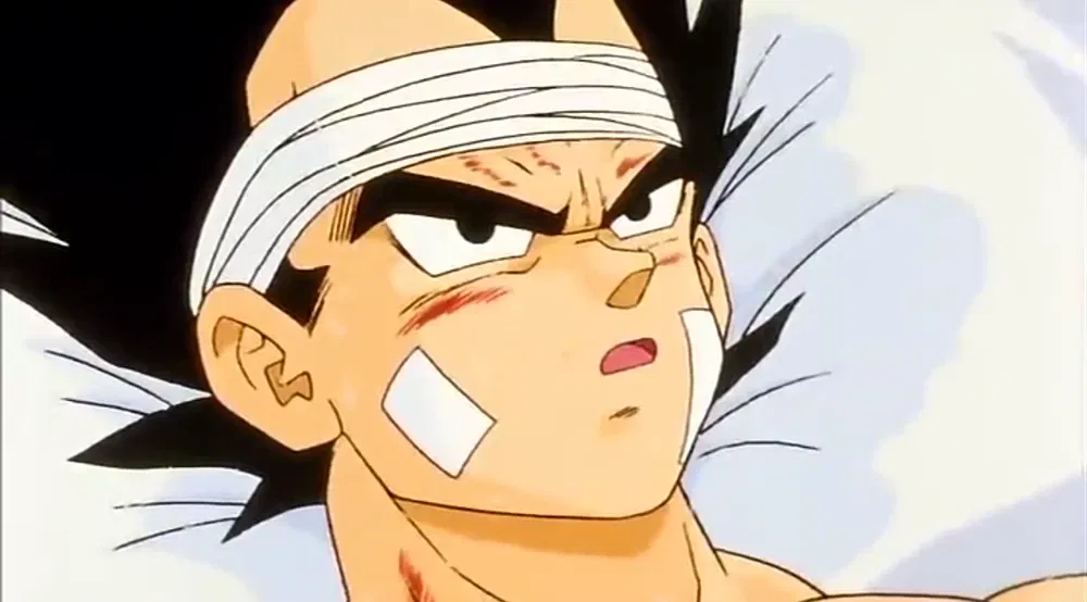 Avatar of Vegeta